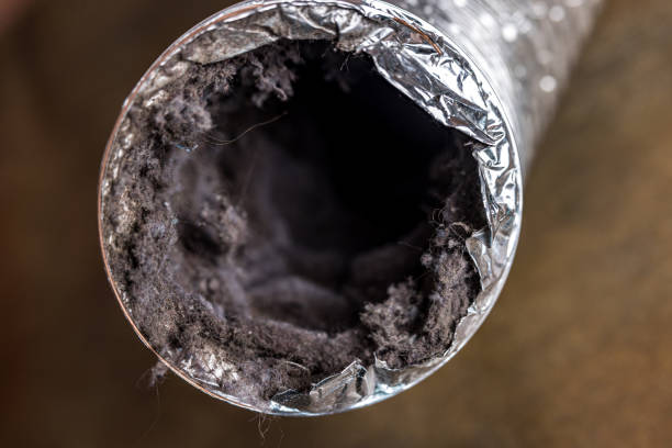 Best Affordable Air Duct Cleaning  in Arche, OK