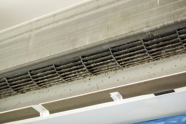 Best Air Duct Cleaning Near Me  in Arche, OK